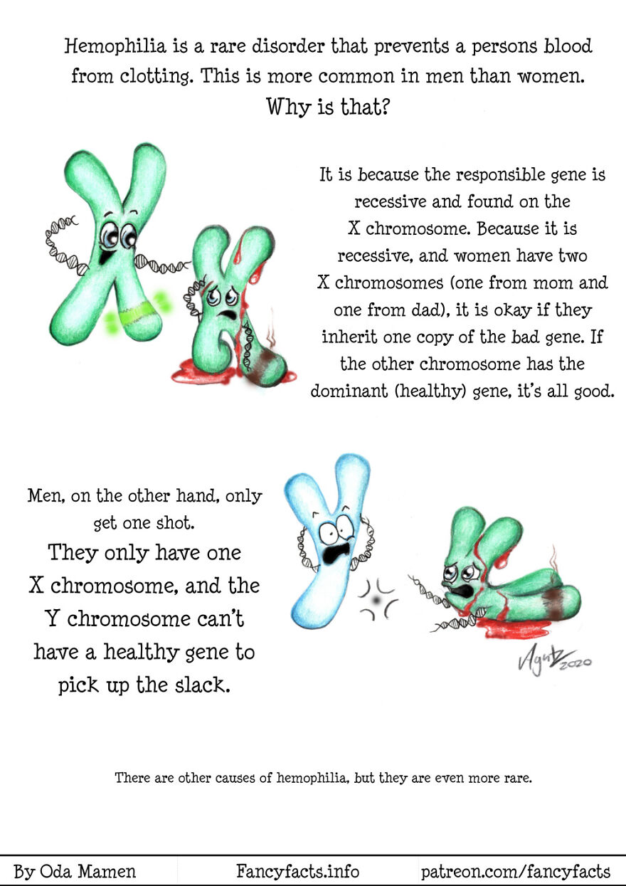 Here Are My 26 Interesting Scientific Facts Illustrated In An Understandable Way (New Pics) Here Are My 26 Interesting Scientific Facts Illustrated In An Understandable Way (New Pics)