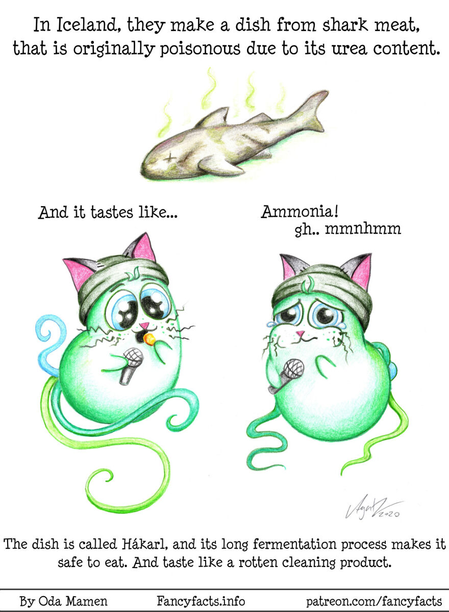 Here Are My 26 Interesting Scientific Facts Illustrated In An Understandable Way (New Pics) Here Are My 26 Interesting Scientific Facts Illustrated In An Understandable Way (New Pics)