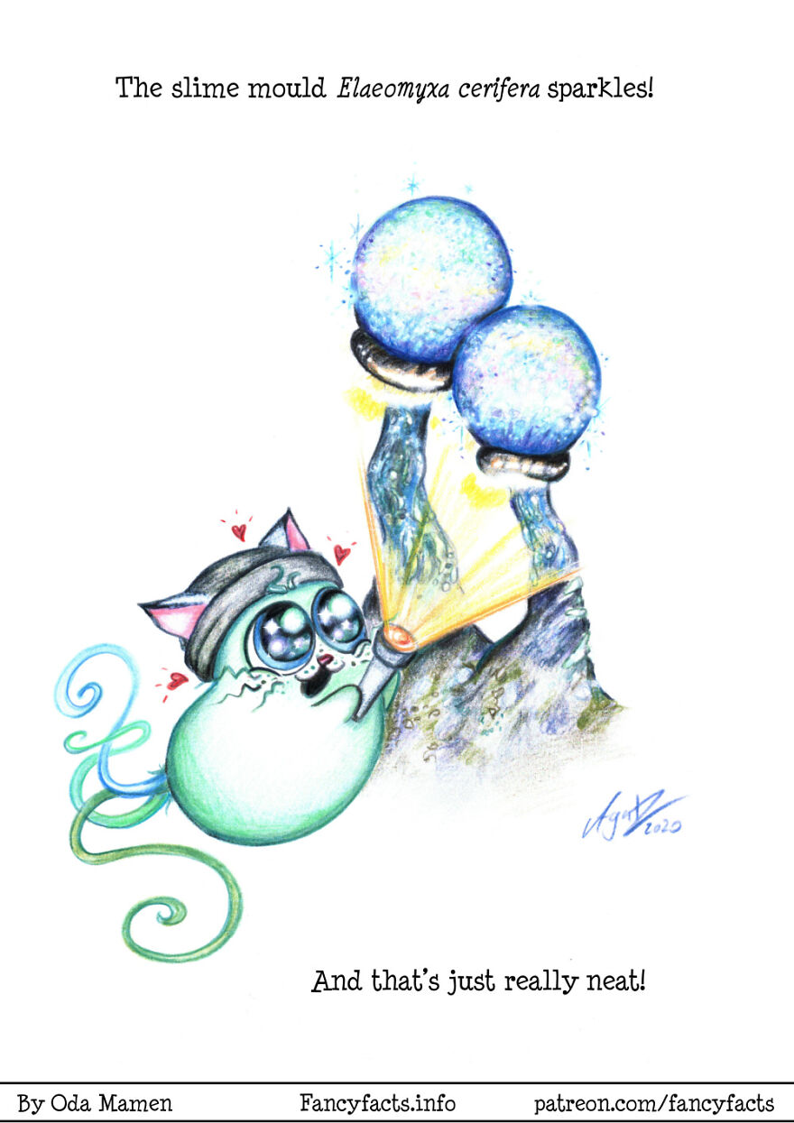 Here Are My 26 Interesting Scientific Facts Illustrated In An Understandable Way (New Pics) Here Are My 26 Interesting Scientific Facts Illustrated In An Understandable Way (New Pics)