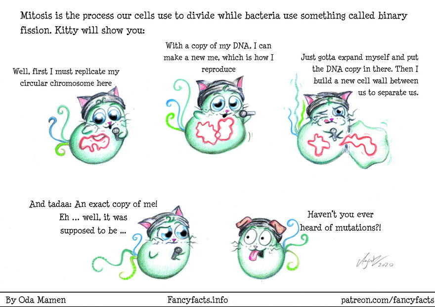 Here Are My 26 Interesting Scientific Facts Illustrated In An Understandable Way (New Pics) Here Are My 26 Interesting Scientific Facts Illustrated In An Understandable Way (New Pics)