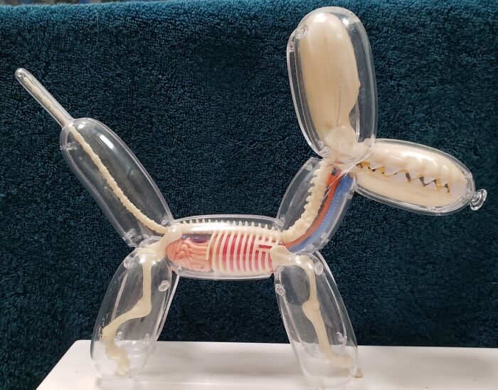 Hey Pandas, What’s The Weirdest Kids’ Toy You Have Ever Seen? (Closed) Hey Pandas, What’s The Weirdest Kids’ Toy You Have Ever Seen? (Closed)