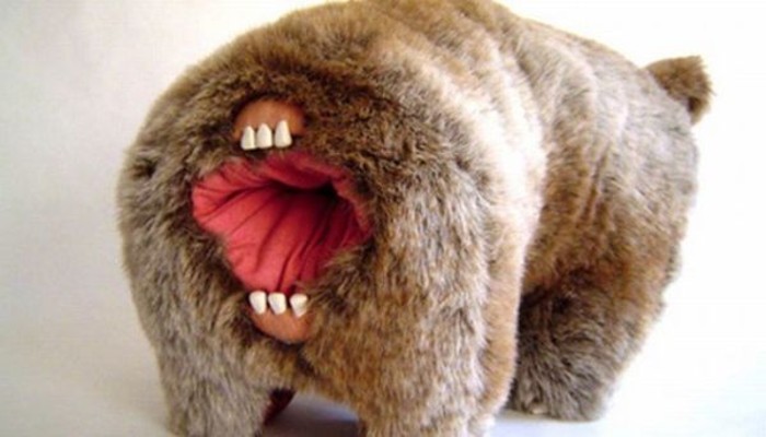 Hey Pandas, What’s The Weirdest Kids’ Toy You Have Ever Seen? (Closed) Hey Pandas, What’s The Weirdest Kids’ Toy You Have Ever Seen? (Closed)