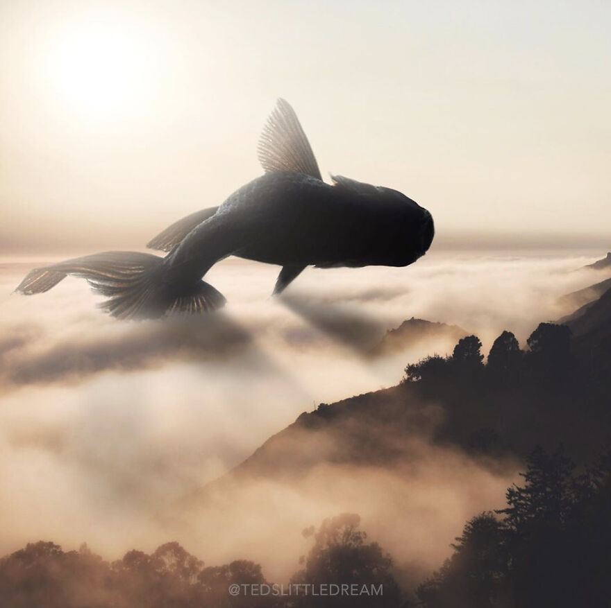 78 Surreal Digital Manipulations From The Artist Behind The Photoshop 2021 Splash Photo 78 Surreal Digital Manipulations From The Artist Behind The Photoshop 2021 Splash Photo