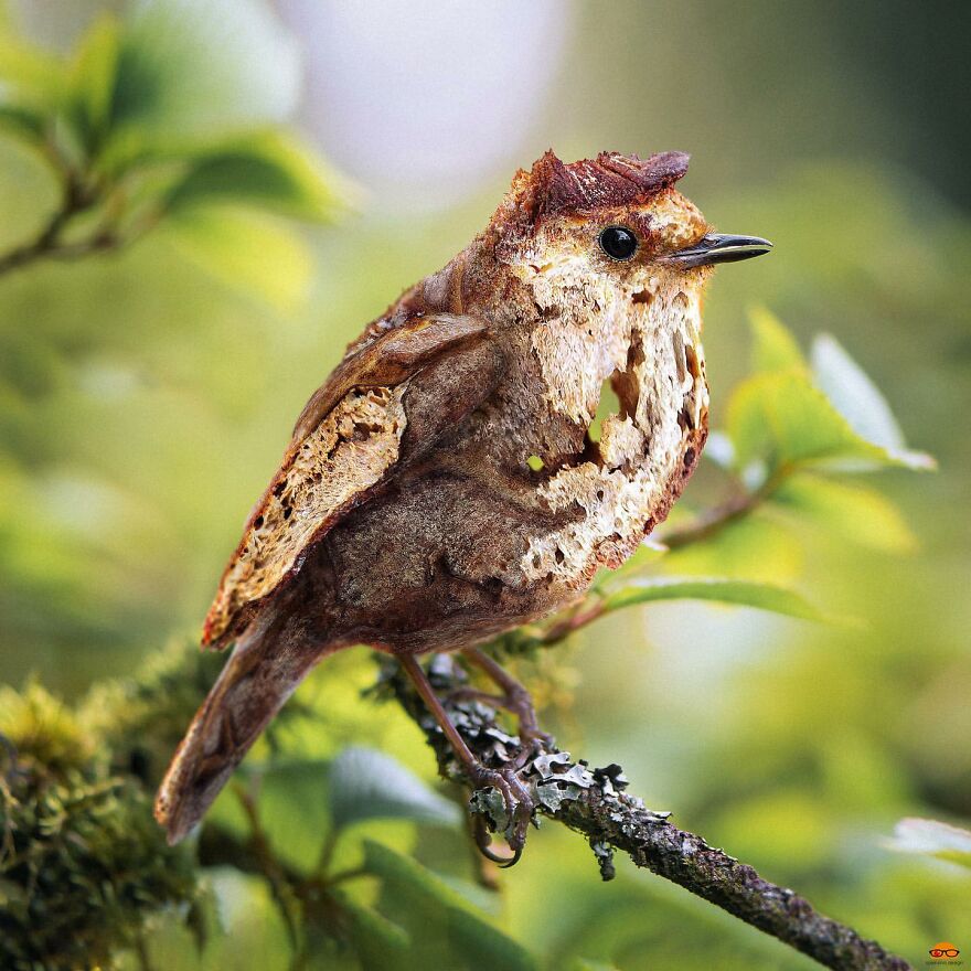 Here Are 66 Surreal Photoshops That Combine Completely Different Objects Here Are 66 Surreal Photoshops That Combine Completely Different Objects