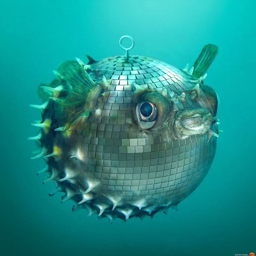 Here Are 66 Surreal Photoshops That Combine Completely Different Objects Here Are 66 Surreal Photoshops That Combine Completely Different Objects