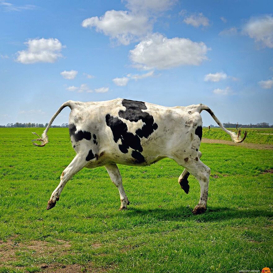 Here Are 66 Surreal Photoshops That Combine Completely Different Objects Here Are 66 Surreal Photoshops That Combine Completely Different Objects