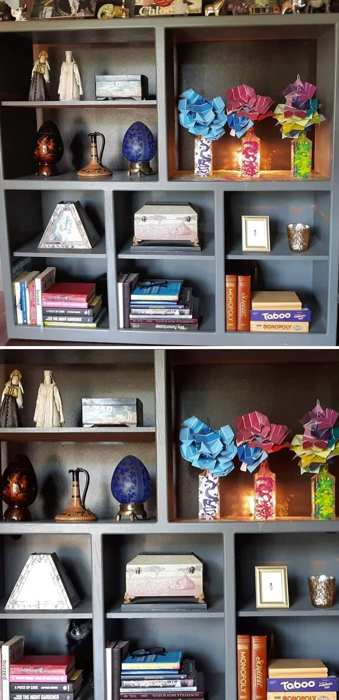 People Post Pics Of Hidden Dogs And The Difficulty Of Finding Them Ranges From 0 To 100