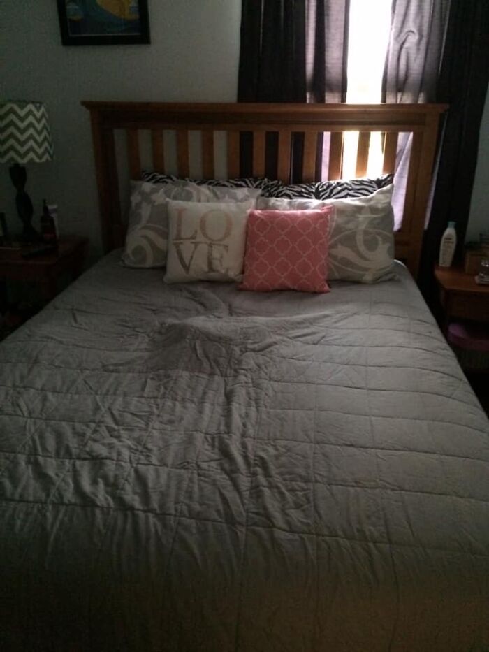 People Post Pics Of Hidden Dogs And The Difficulty Of Finding Them Ranges From 0 To 100