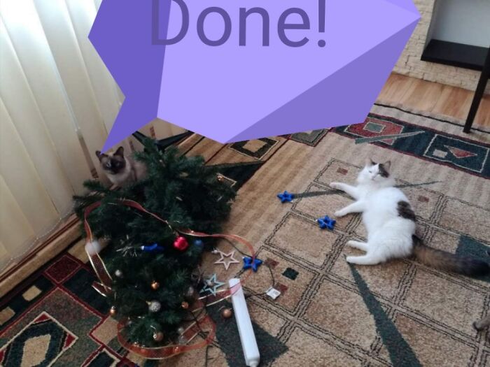 Hey Pandas, Share Your Christmas Tree With Us (Closed) Hey Pandas, Share Your Christmas Tree With Us (Closed)