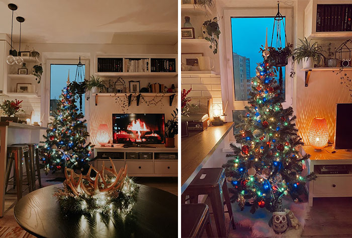 Hey Pandas, Share Your Christmas Tree With Us (Closed) Hey Pandas, Share Your Christmas Tree With Us (Closed)