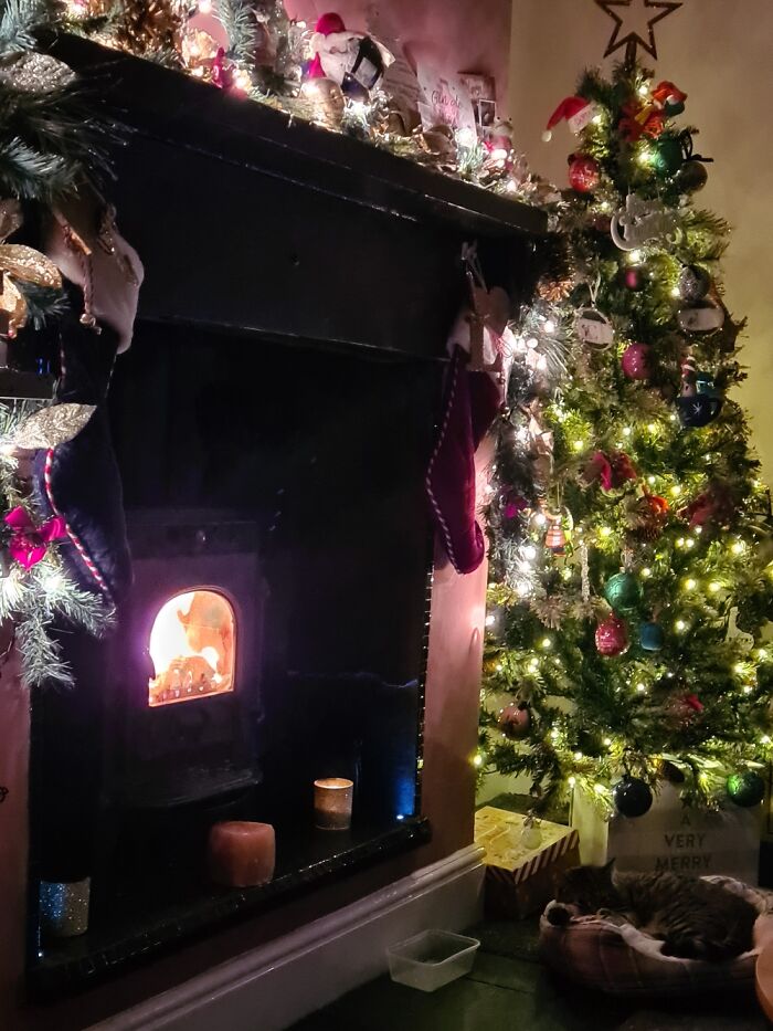 Hey Pandas, Share Your Christmas Tree With Us (Closed) Hey Pandas, Share Your Christmas Tree With Us (Closed)