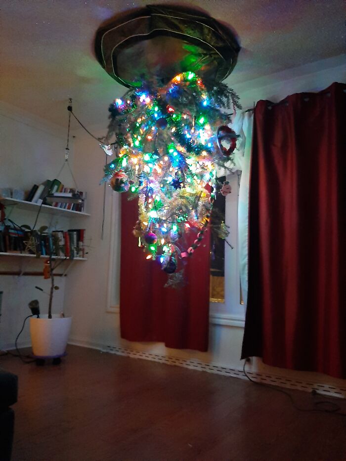 Hey Pandas, Share Your Christmas Tree With Us (Closed) Hey Pandas, Share Your Christmas Tree With Us (Closed)