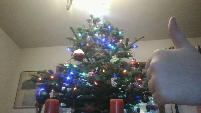 Hey Pandas, Share Your Christmas Tree With Us (Closed) Hey Pandas, Share Your Christmas Tree With Us (Closed)