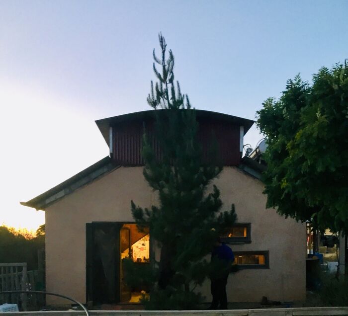 Hey Pandas, Share Your Christmas Tree With Us (Closed) Hey Pandas, Share Your Christmas Tree With Us (Closed)