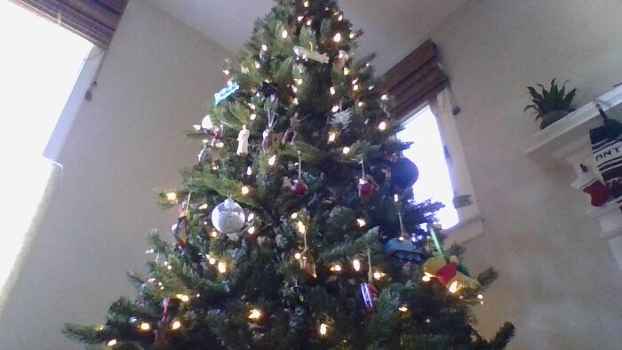 Hey Pandas, Share Your Christmas Tree With Us (Closed) Hey Pandas, Share Your Christmas Tree With Us (Closed)