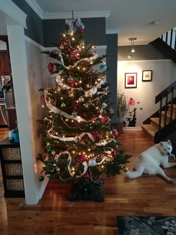 Hey Pandas, Share Your Christmas Tree With Us (Closed) Hey Pandas, Share Your Christmas Tree With Us (Closed)