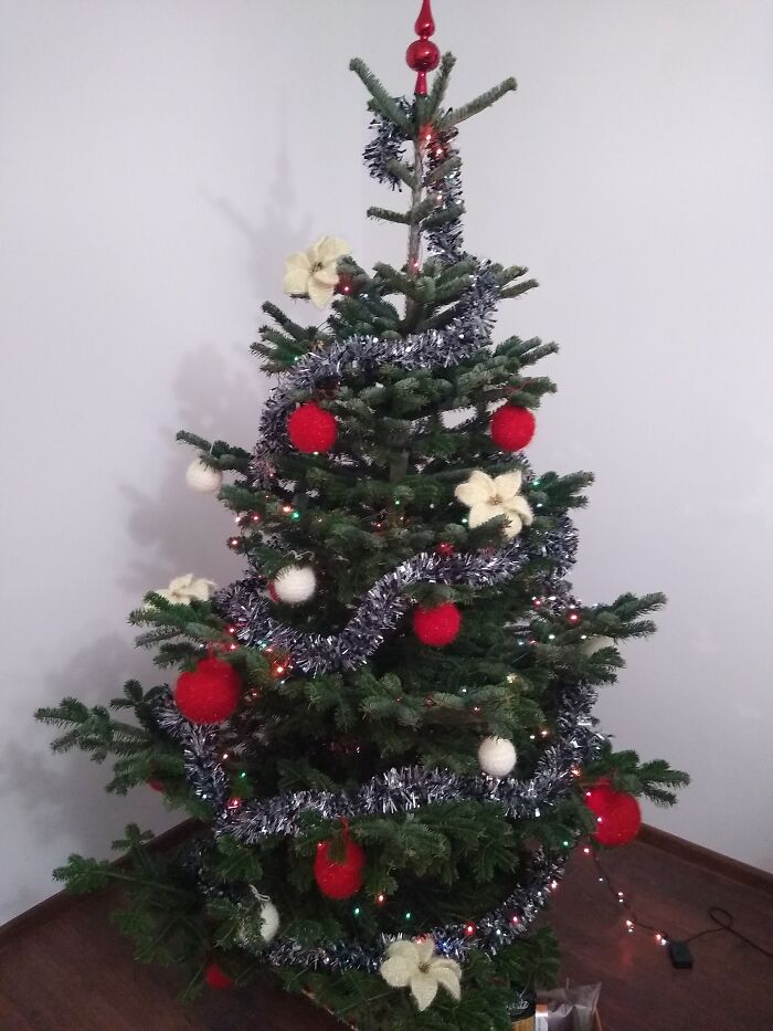 Hey Pandas, Share Your Christmas Tree With Us (Closed) Hey Pandas, Share Your Christmas Tree With Us (Closed)