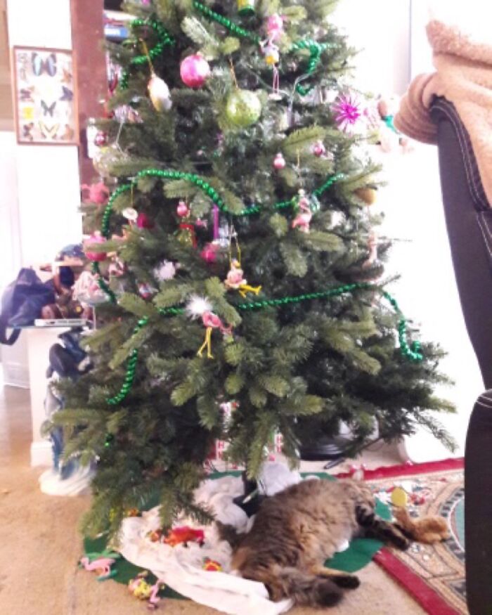Hey Pandas, Share Your Christmas Tree With Us (Closed) Hey Pandas, Share Your Christmas Tree With Us (Closed)