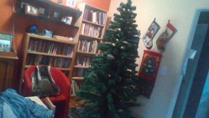 Hey Pandas, Share Your Christmas Tree With Us (Closed) Hey Pandas, Share Your Christmas Tree With Us (Closed)