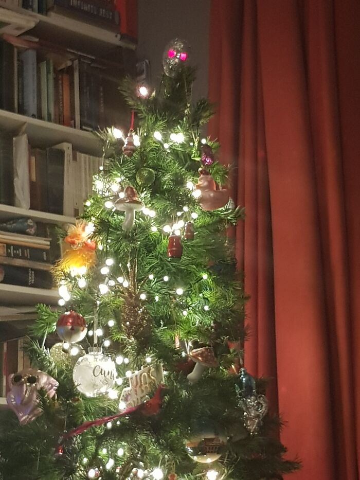 Hey Pandas, Share Your Christmas Tree With Us (Closed) Hey Pandas, Share Your Christmas Tree With Us (Closed)