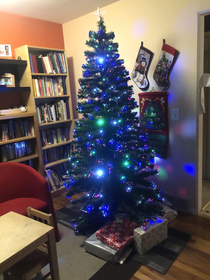 Hey Pandas, Share Your Christmas Tree With Us (Closed) Hey Pandas, Share Your Christmas Tree With Us (Closed)