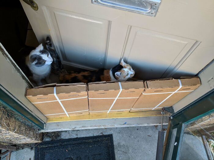 Perfectionists Are Giving Each Other Eye-Gasms By Sharing Satisfying “Perfect Fit” Photos (50 Pics) Perfectionists Are Giving Each Other Eye-Gasms By Sharing Satisfying “Perfect Fit” Photos (50 Pics)