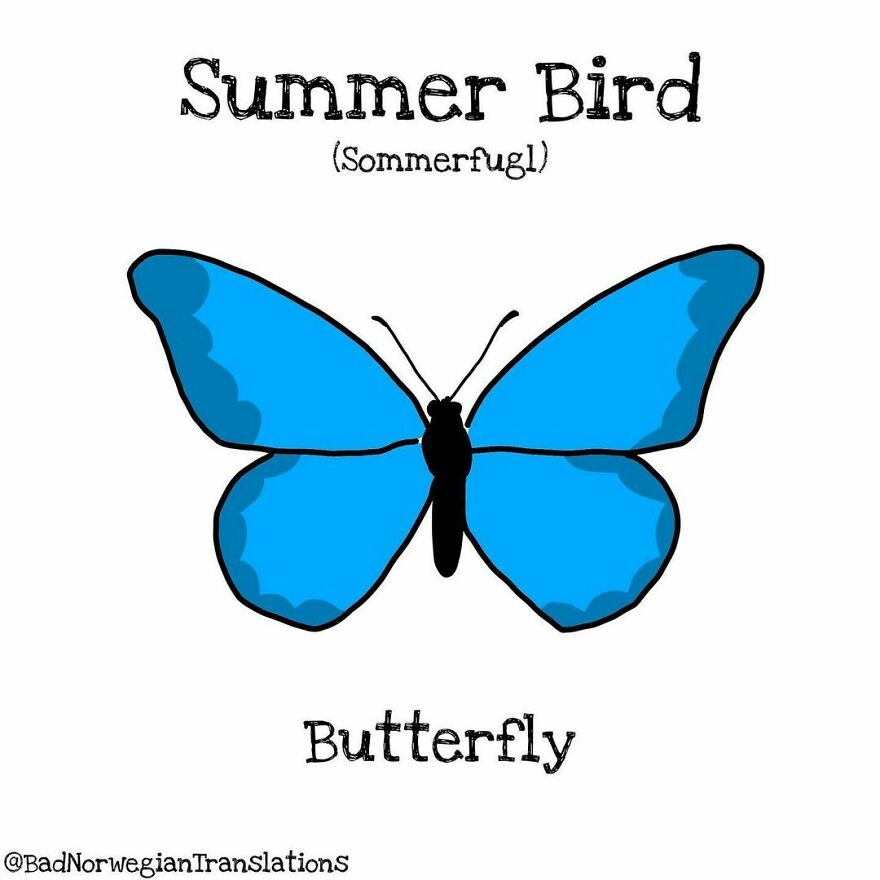 40 Brilliantly Literal Norwegian Words That Say Exactly What They Mean Illustrated By Me 40 Brilliantly Literal Norwegian Words That Say Exactly What They Mean Illustrated By Me