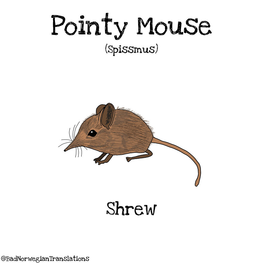 40 Brilliantly Literal Norwegian Words That Say Exactly What They Mean Illustrated By Me 40 Brilliantly Literal Norwegian Words That Say Exactly What They Mean Illustrated By Me