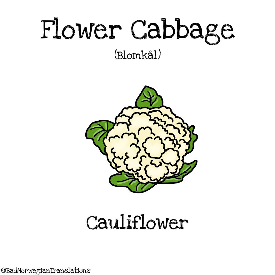 40 Brilliantly Literal Norwegian Words That Say Exactly What They Mean Illustrated By Me 40 Brilliantly Literal Norwegian Words That Say Exactly What They Mean Illustrated By Me