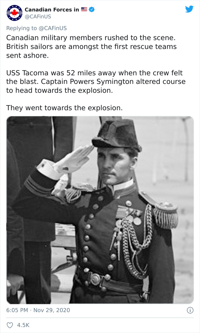 Turns Out, Each Year, Nova Scotia Sends A Christmas Tree To Boston To Honor A Century-Long Partnership Turns Out, Each Year, Nova Scotia Sends A Christmas Tree To Boston To Honor A Century-Long Partnership