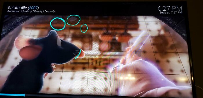 36 Hidden Details That Only Very Observant People Noticed In Ratatouille