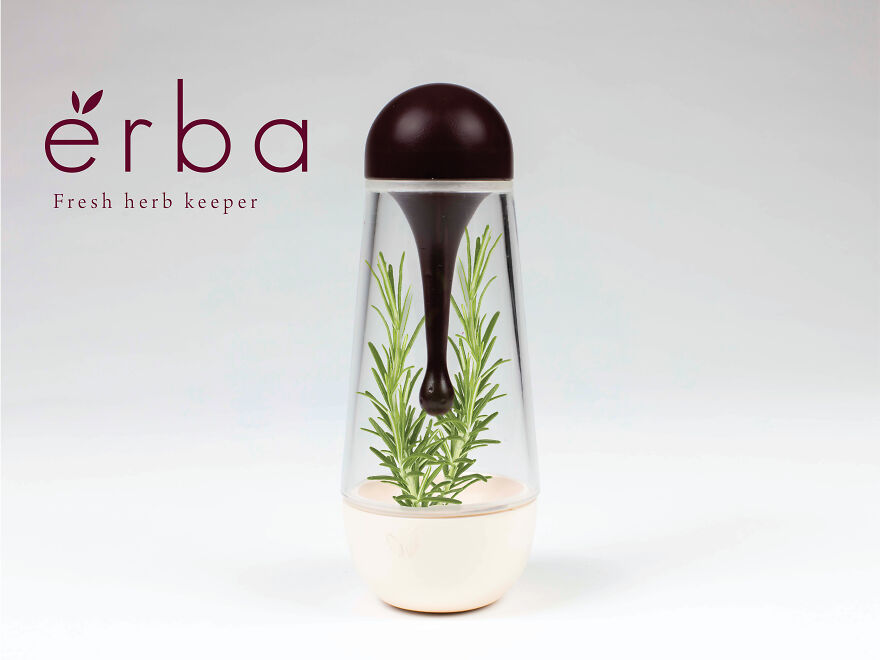 Here Are 12 Award-Winning Eco-Friendly Products To Keep Your Home Greener Than Ever