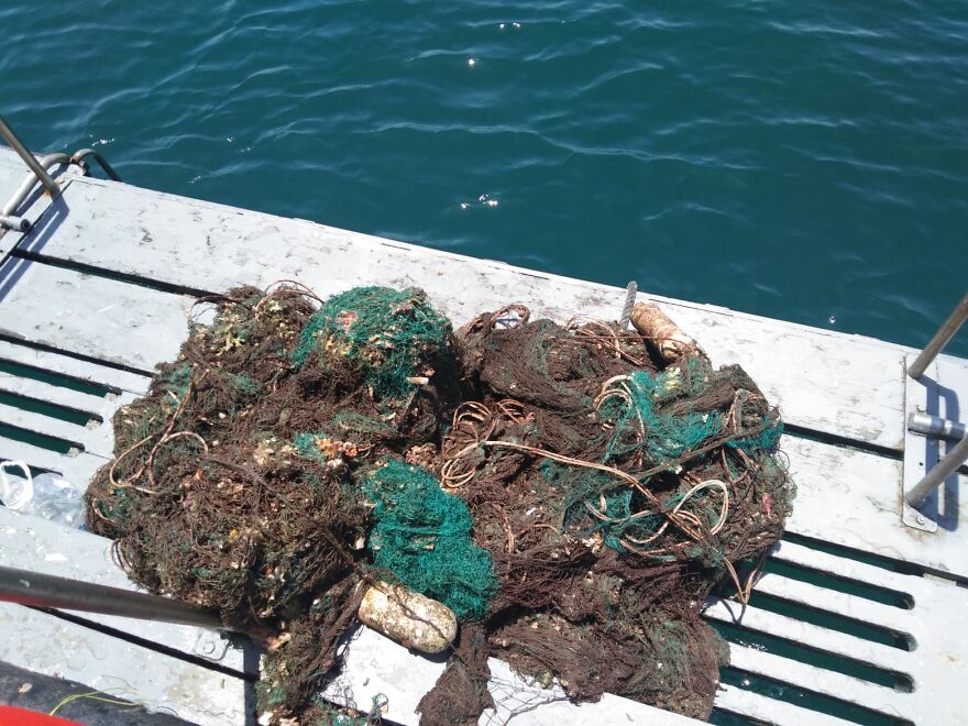 We Removed A Massive Abandoned Fishing Net From A Reef At Our Local Islands