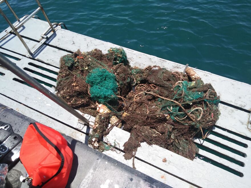 We Removed A Massive Abandoned Fishing Net From A Reef At Our Local Islands
