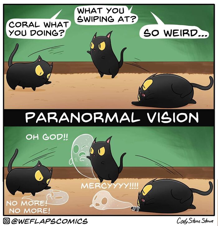 35 Comics That Show What Living With A Cat Is Really Like (New Pics)