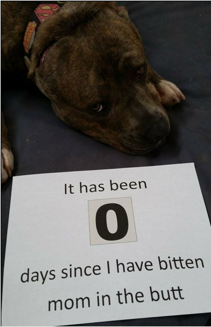 People Share Times When &#8220;There Was An Attempt&#8221; And Here Are 50 Of The Most Amusing Ones