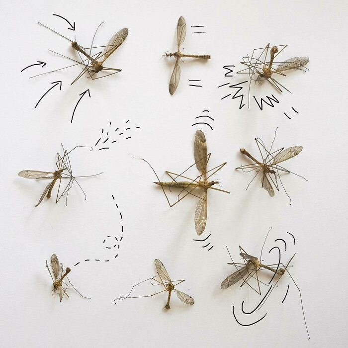 I Created Art Using Various Real-Life Objects Around Me (30 Pics) I Created Art Using Various Real-Life Objects Around Me (30 Pics)