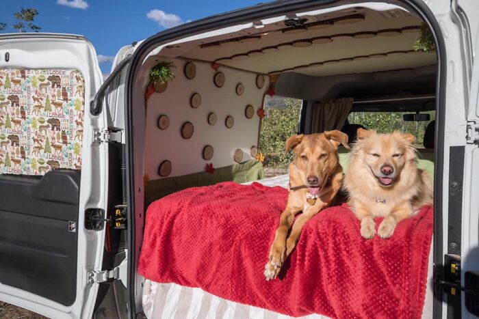 31 Dog Owners Show Off Some Of The Coolest Things They Did For Their Dogs In The “I Did It For My Dog” Challenge On Facebook