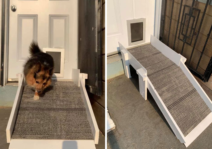 31 Dog Owners Show Off Some Of The Coolest Things They Did For Their Dogs In The “I Did It For My Dog” Challenge On Facebook