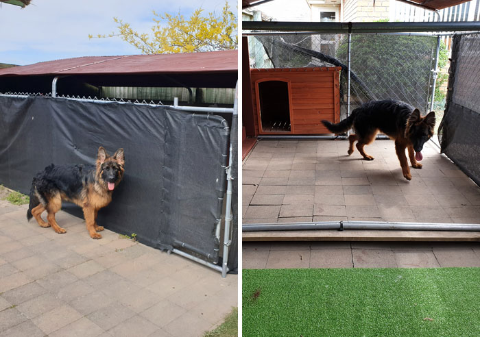 31 Dog Owners Show Off Some Of The Coolest Things They Did For Their Dogs In The “I Did It For My Dog” Challenge On Facebook