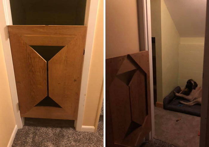 31 Dog Owners Show Off Some Of The Coolest Things They Did For Their Dogs In The “I Did It For My Dog” Challenge On Facebook