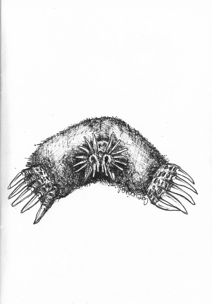 I Randomly Decided To Try Inktober This Year And Here Are The Results I Randomly Decided To Try Inktober This Year And Here Are The Results