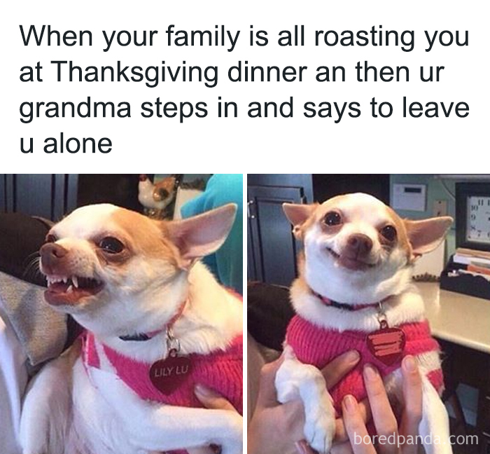 45 Painfully Relatable Memes To Laugh At While Social Distancing This Thanksgiving 45 Painfully Relatable Memes To Laugh At While Social Distancing This Thanksgiving