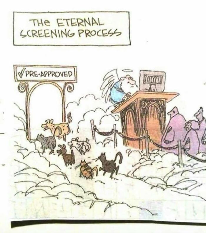 Hey Pandas, Share Your Favorite Dog Memes (Closed) Hey Pandas, Share Your Favorite Dog Memes (Closed)