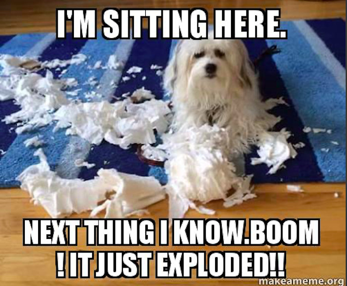 Hey Pandas, Share Your Favorite Dog Memes (Closed) Hey Pandas, Share Your Favorite Dog Memes (Closed)