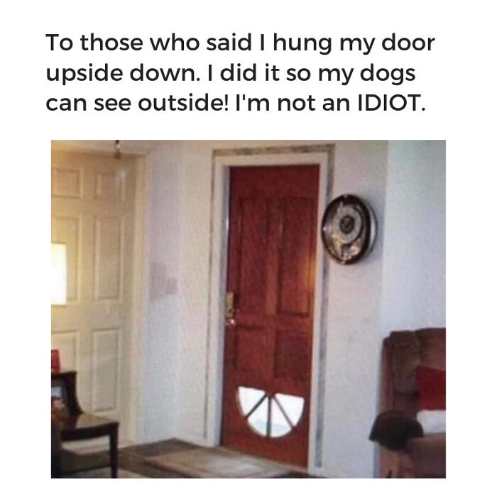 Hey Pandas, Share Your Favorite Dog Memes (Closed) Hey Pandas, Share Your Favorite Dog Memes (Closed)