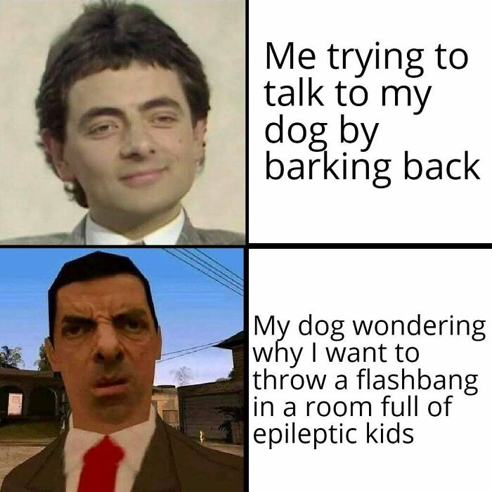 Hey Pandas, Share Your Favorite Dog Memes (Closed) Hey Pandas, Share Your Favorite Dog Memes (Closed)