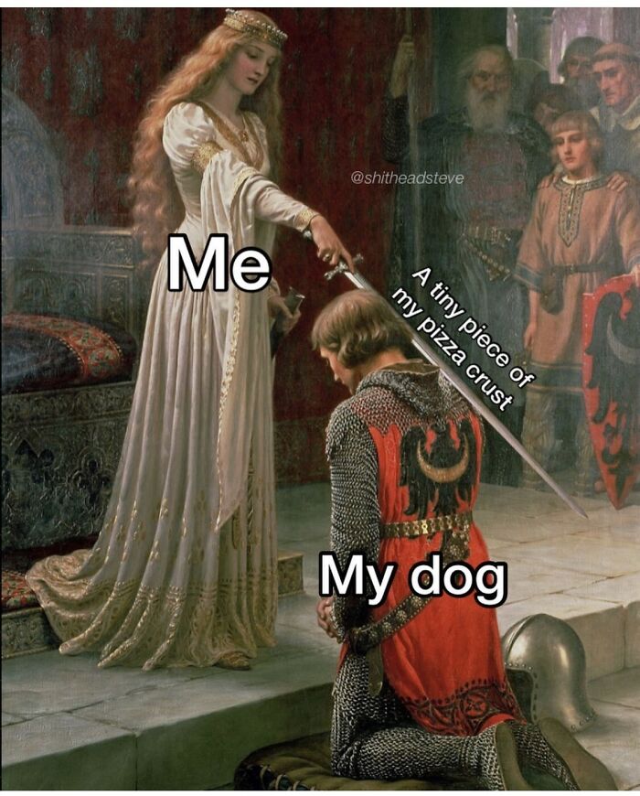 Hey Pandas, Share Your Favorite Dog Memes (Closed) Hey Pandas, Share Your Favorite Dog Memes (Closed)