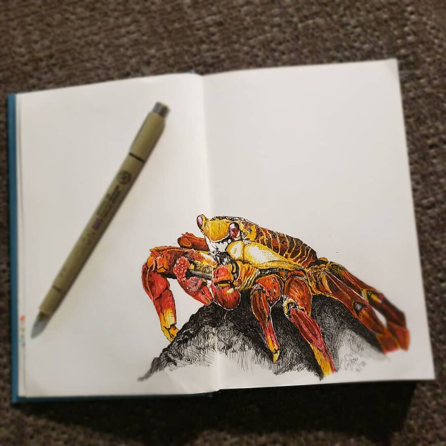 Here’s My Quarantine Art Book (52 Pics) Here’s My Quarantine Art Book (52 Pics)