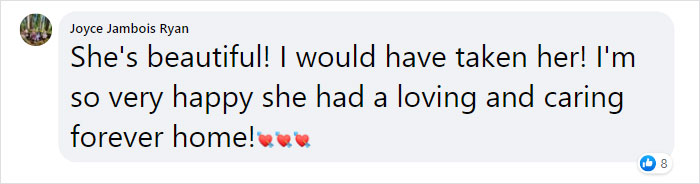 Kitten With Twisted Legs Wins People’s Hearts And Finds Her Forever Home Kitten With Twisted Legs Wins People’s Hearts And Finds Her Forever Home